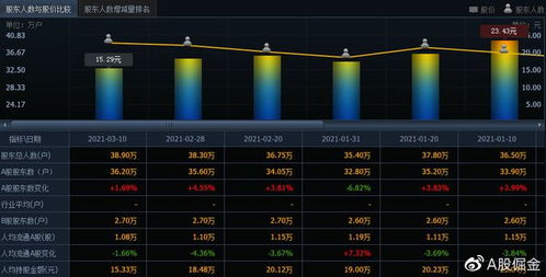 長安汽車（601633） 軟件驅動下的機遇與風險分析